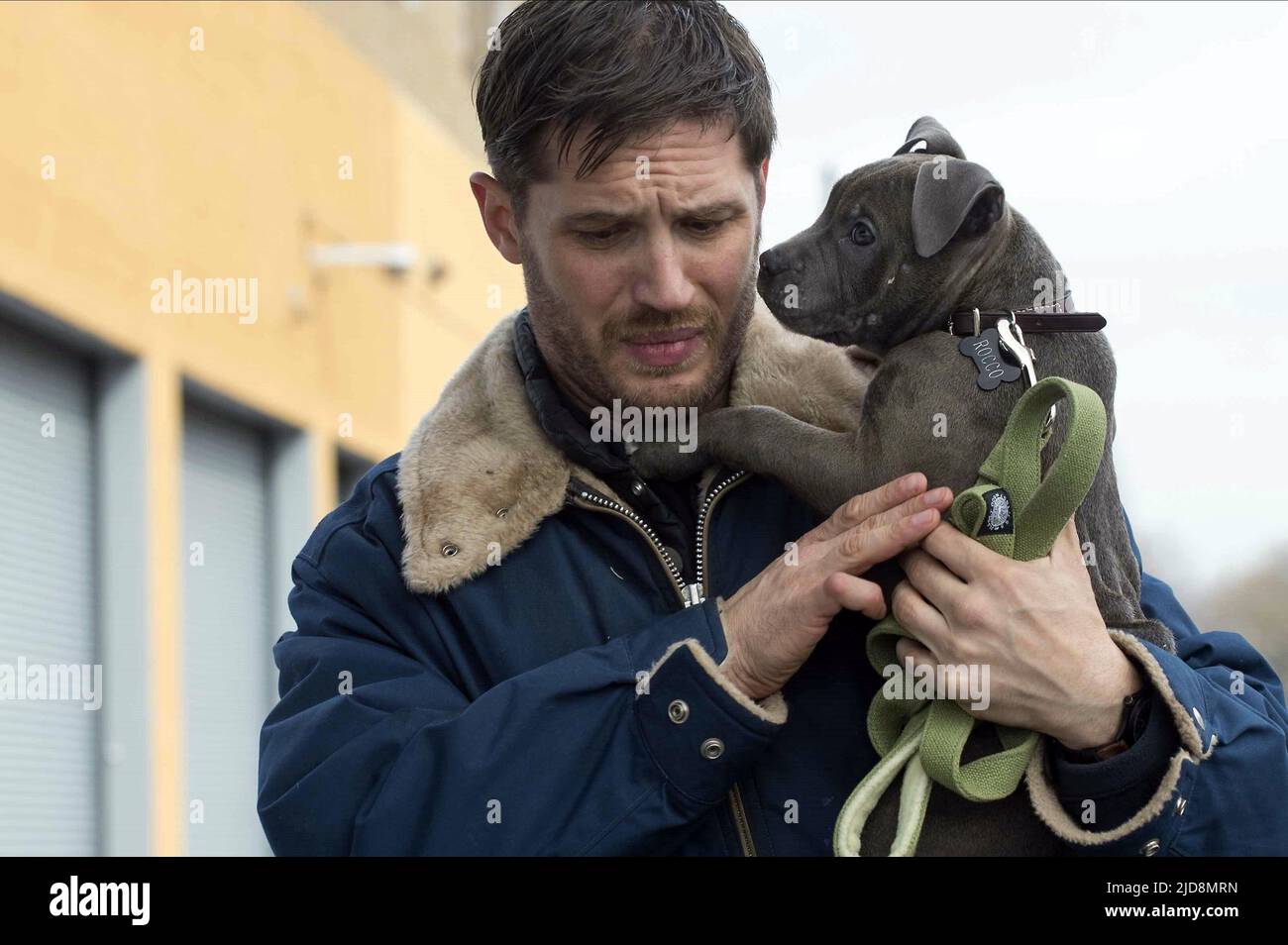 In 'The Drop,' Tom Hardy stayed still on camera, and unbridled off it - Los  Angeles Times