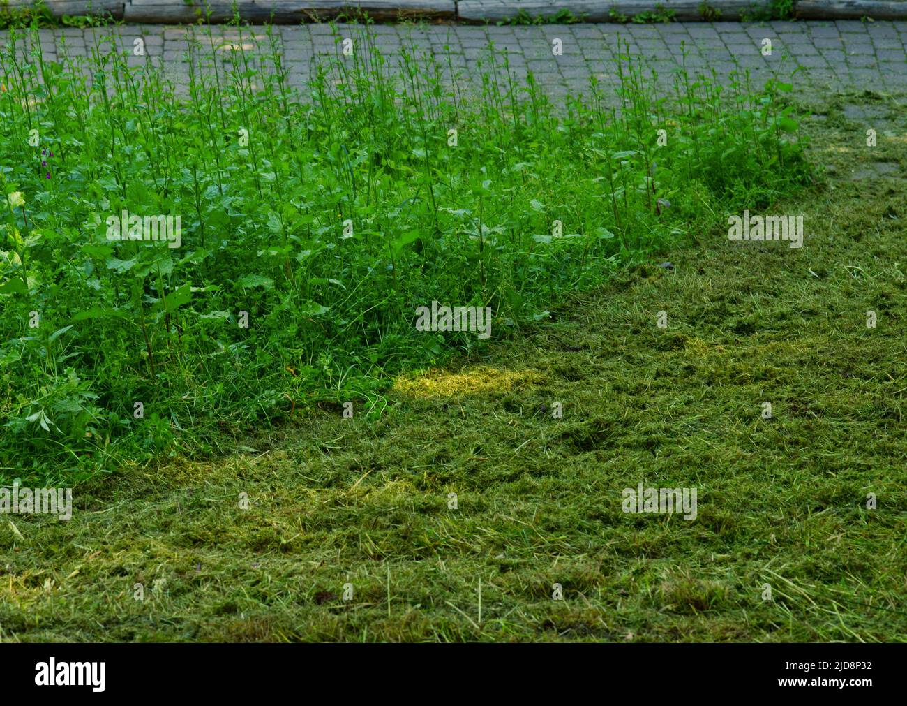 halfway mowed meadow Stock Photo