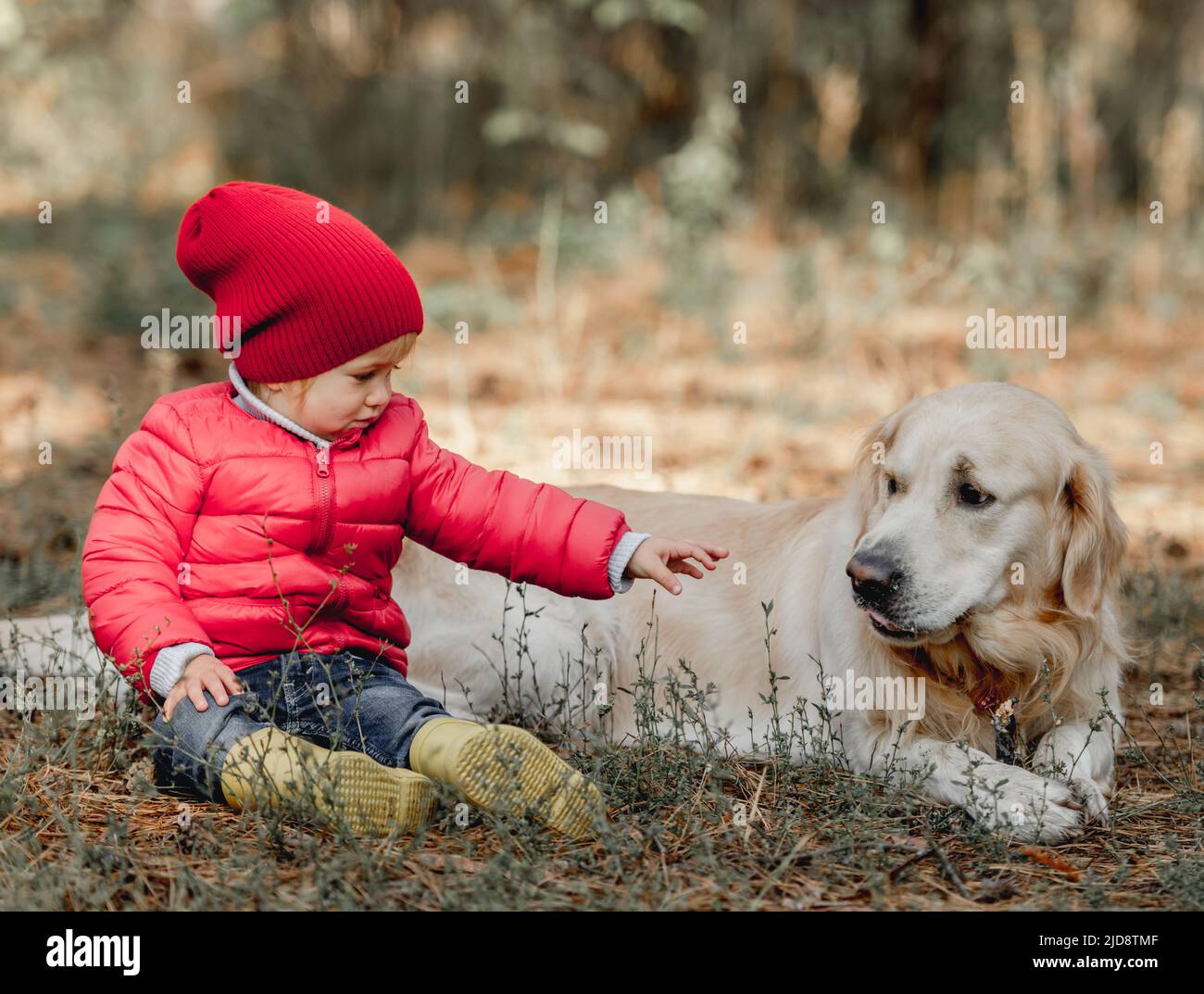 Little girl with golden retriever dog in the forest Stock Photo - Alamy
