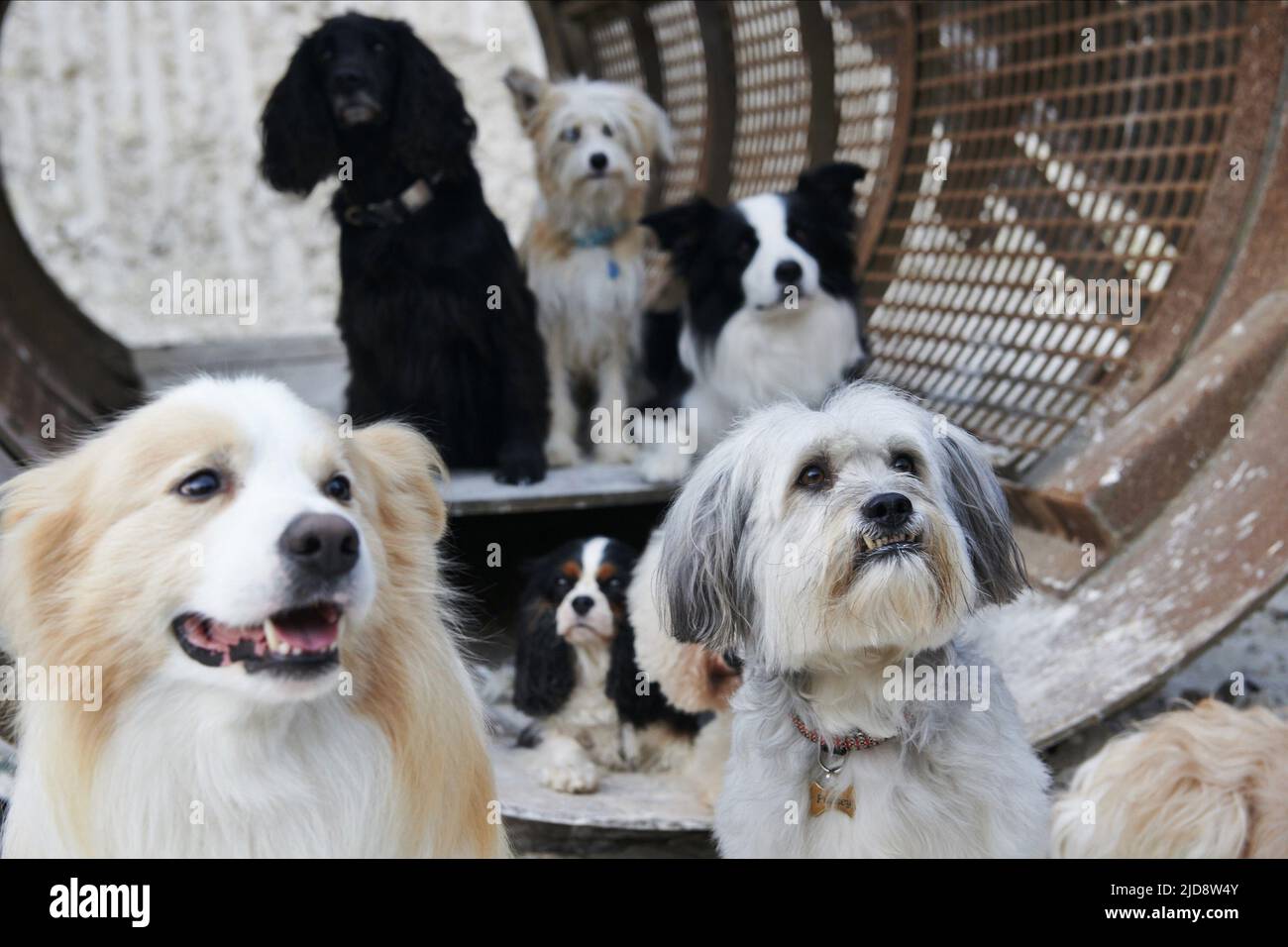 Pudsey pudsey hires stock photography and images Alamy