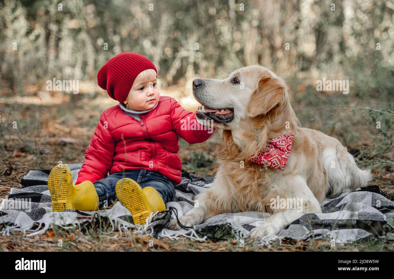 Little girl with golden retriever dog in the forest Stock Photo - Alamy