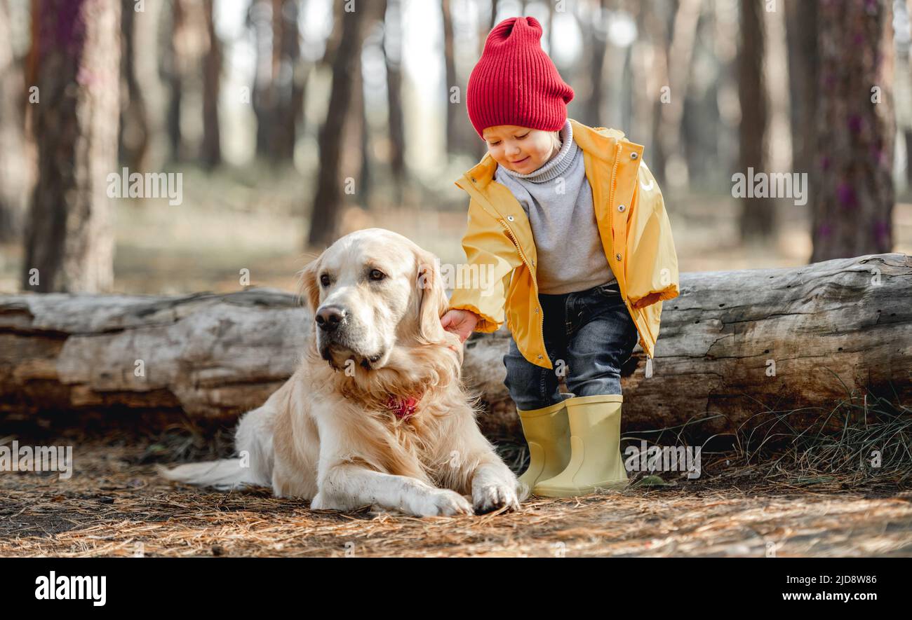 Little girl with golden retriever dog in the forest Stock Photo - Alamy