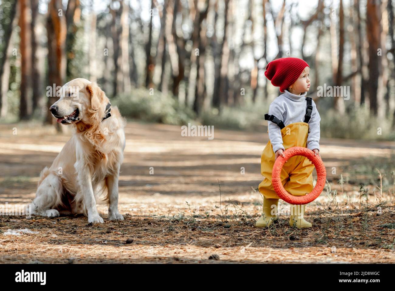 Little girl with golden retriever dog in the forest Stock Photo - Alamy