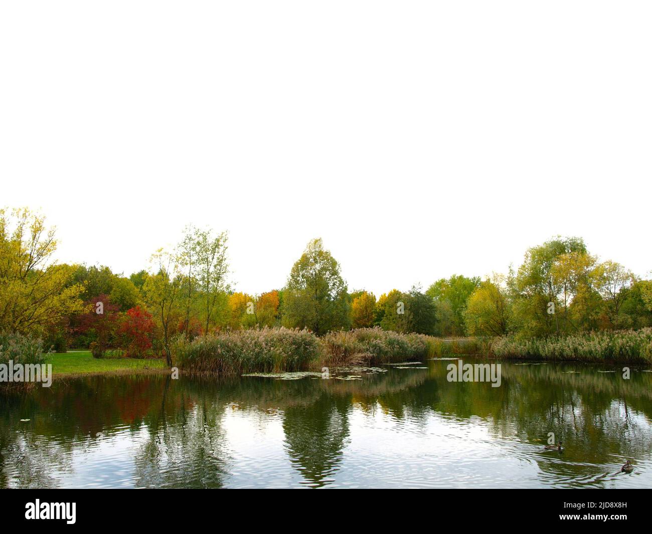 Beautiful trees reflecting on the water hi-res stock photography and ...