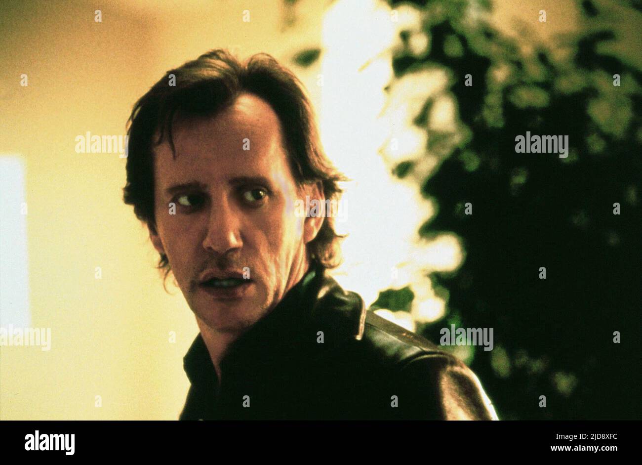 JAMES WOODS, ANOTHER DAY IN PARADISE, 1998, Stock Photo