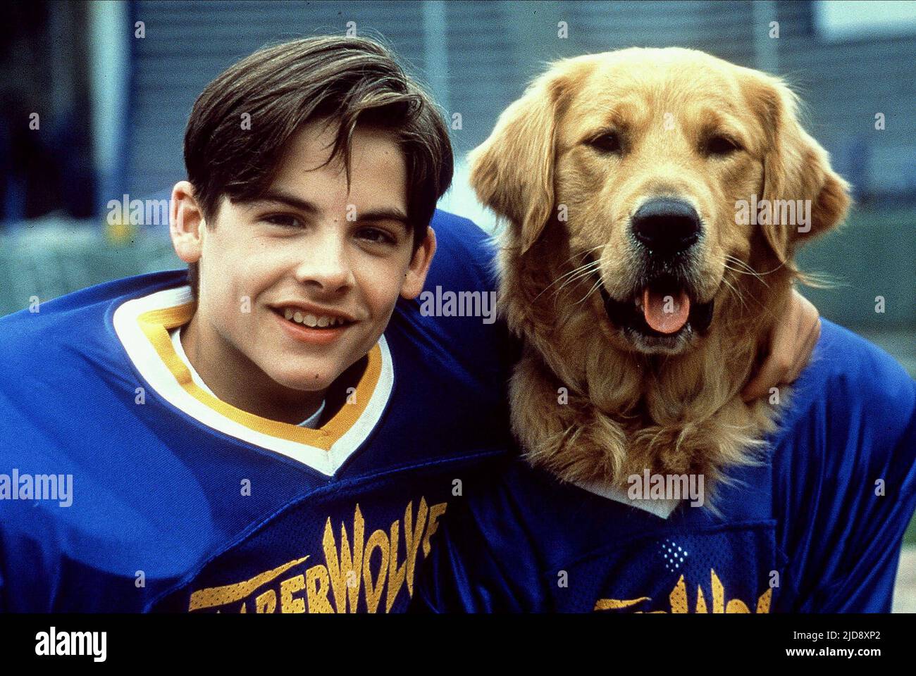 Kevin zegers buddy air bud hi res stock photography and images Alamy