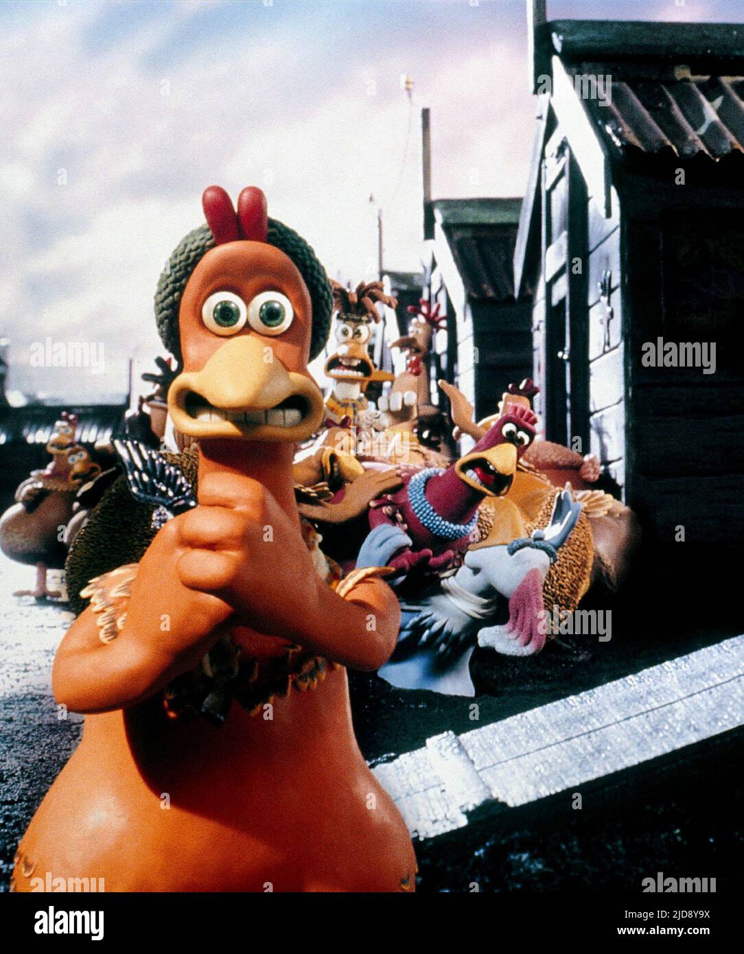 GINGER, CHICKEN RUN, 2000 Stock Photo Alamy