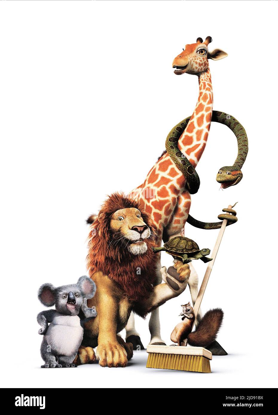 NIGEL,SAMSON,BRIDGET,LARRY,BENNY, THE WILD, 2006 Stock Photo - Alamy