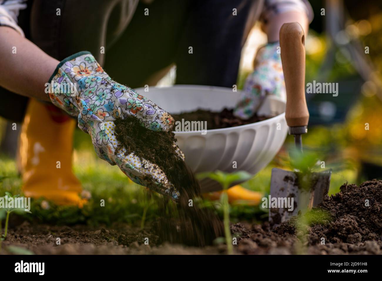 Eco friendly gardening. Woman improving garden bed soil for planting