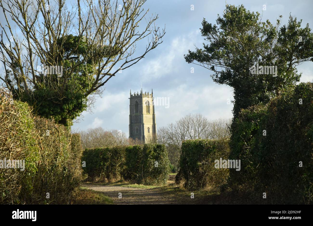 hedges, road, trees and church tower in the background, suffolk, england Stock Photo