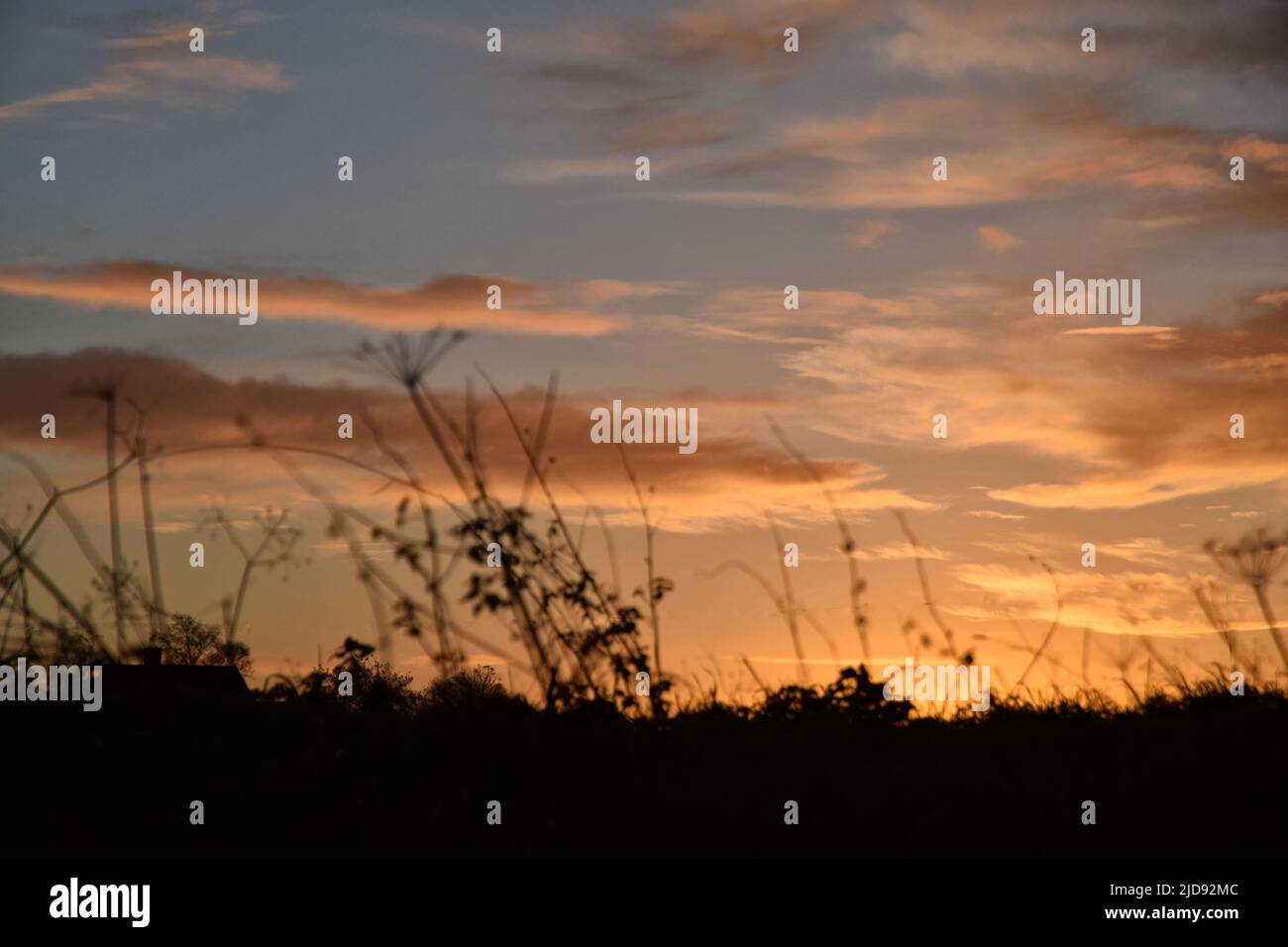 sunset in the countryside, suffolk, england Stock Photo