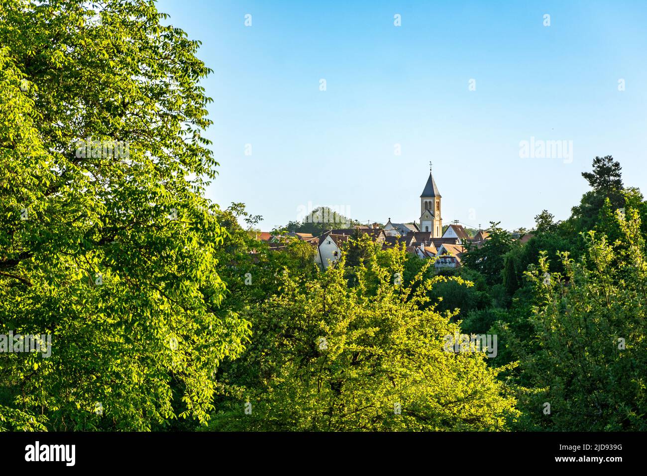 Picturesque small historic village seen trough green trees in summer in Southern Germany Stock Photo