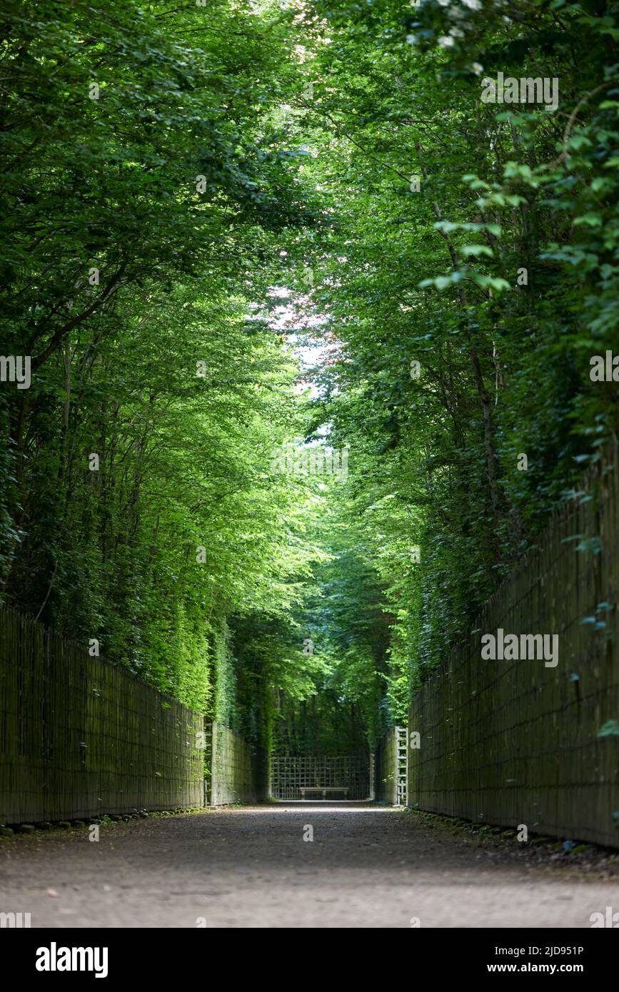 Alley through the gardens of Versailles during summer Stock Photo