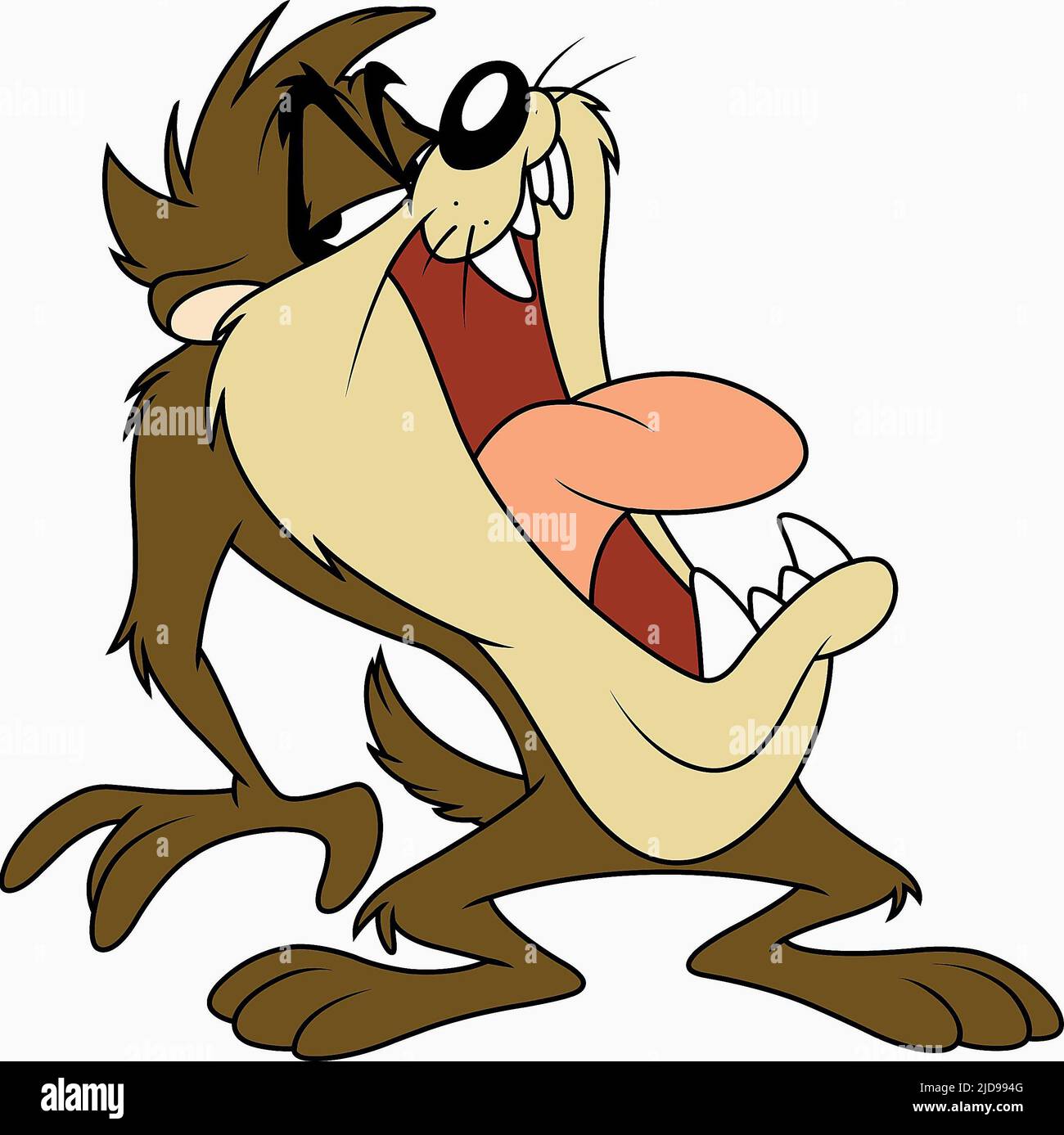 TAZ THE TASMANIAN DEVIL, TAZ-MANIA, 1991, Stock Photo