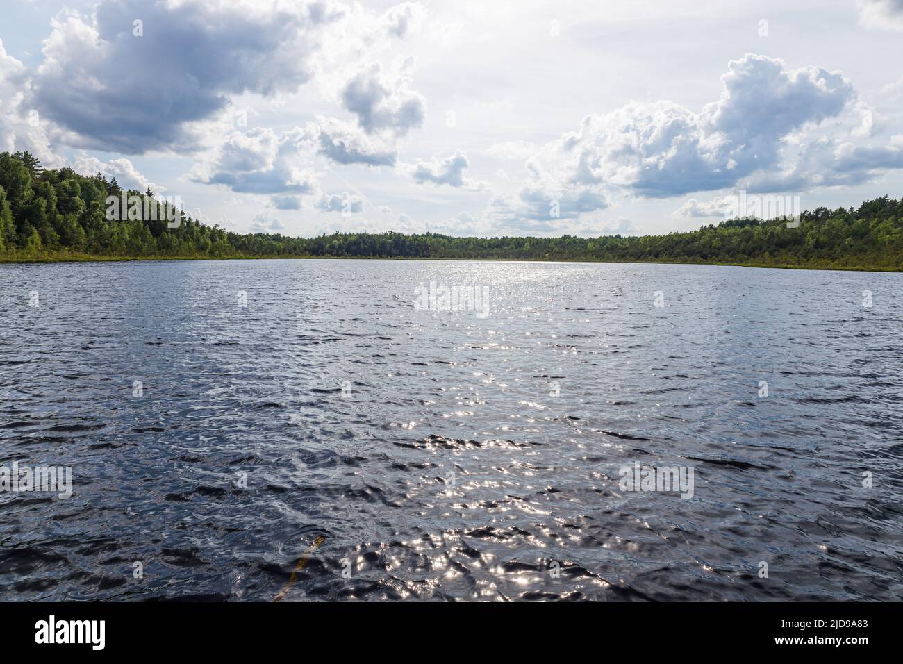 Early summer forest lake landscape with cloudy blue sky Stock Photo