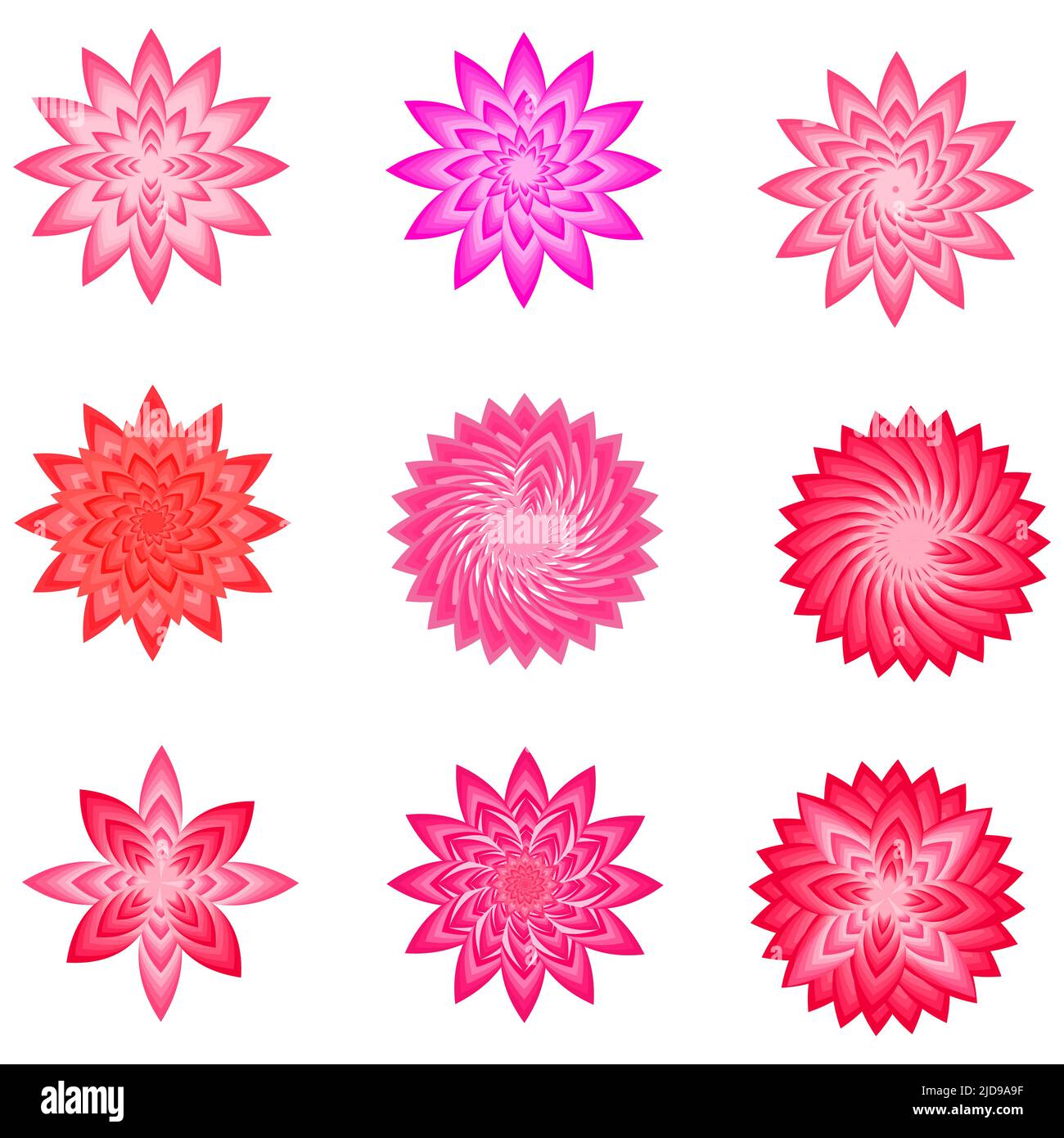 Set of flower botanical petal plant icon element decoration ornament ...