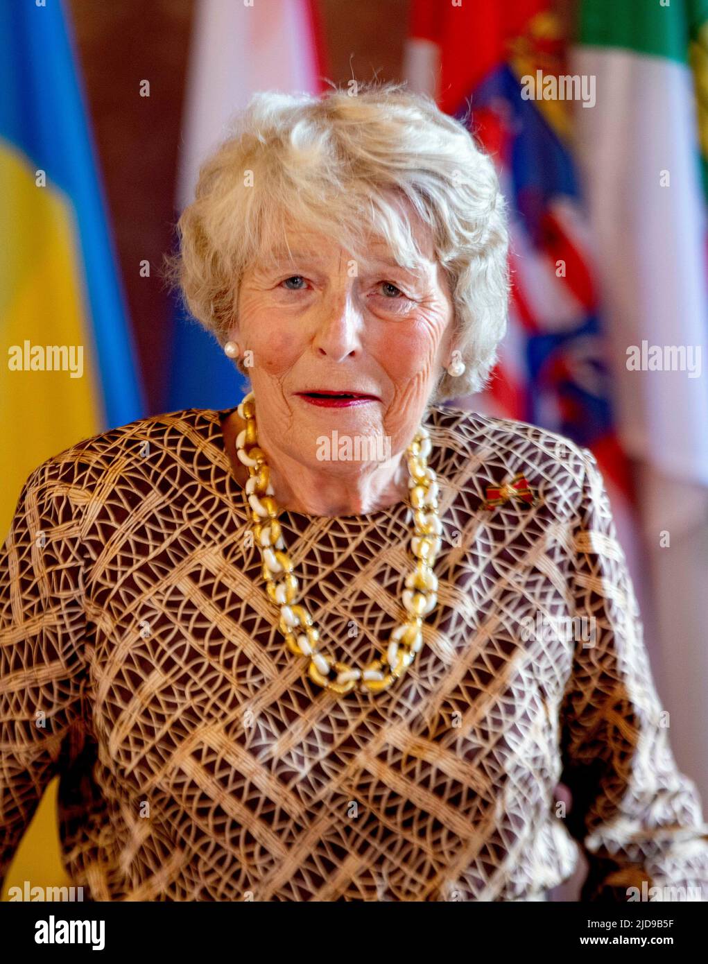 Loon labouchere hires stock photography and images Alamy