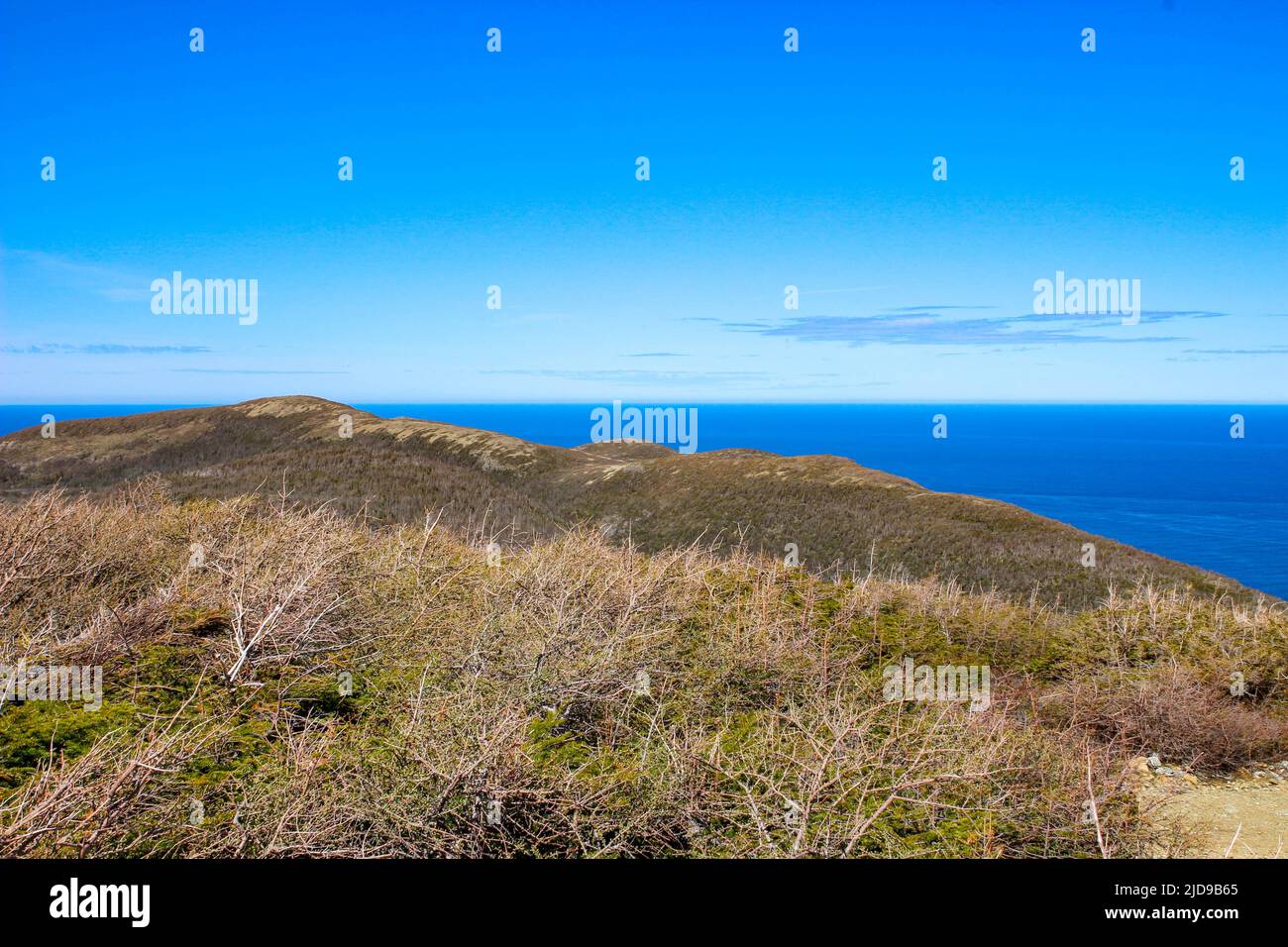 Gros morne newfoundland images from the popular hike Stock Photo Alamy