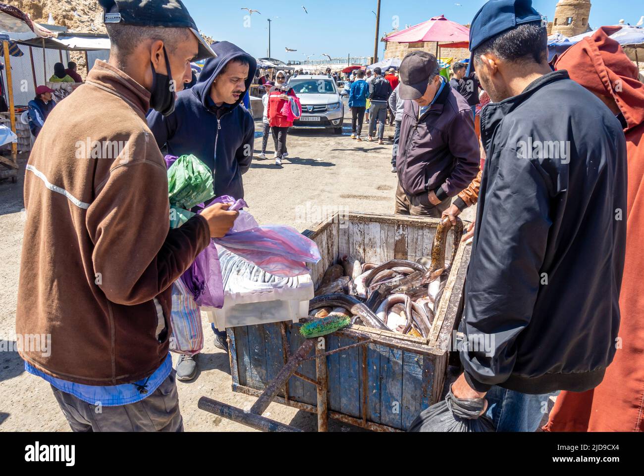 Sellers selling freshly caught eels seafood in the street popular with tourists and locals in Port of Essaouira, Morocco. Stock Photo