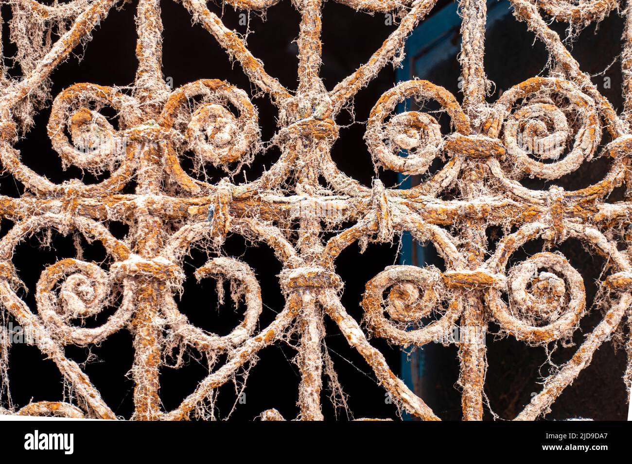 Rusty door wrought iron ornament on Moroccan gate door, Essaouira