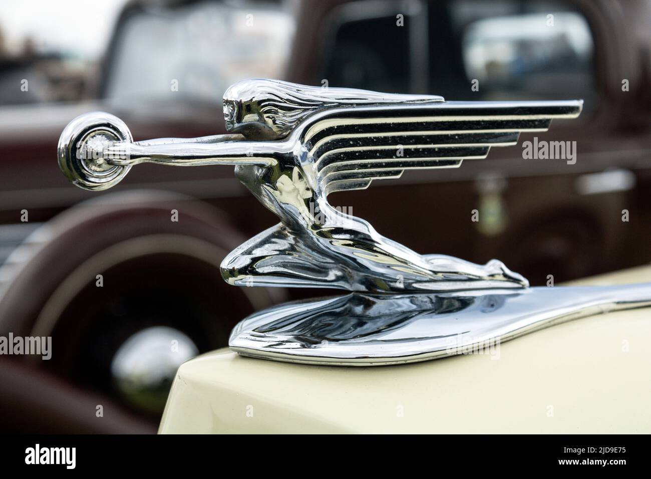 Packard bonnet mascot. Classic Cars On Lytham Green 2022. Stock Photo