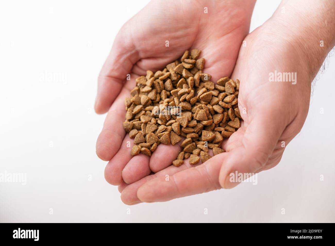 Pet food in open male palms against a white background. Adult Male ...