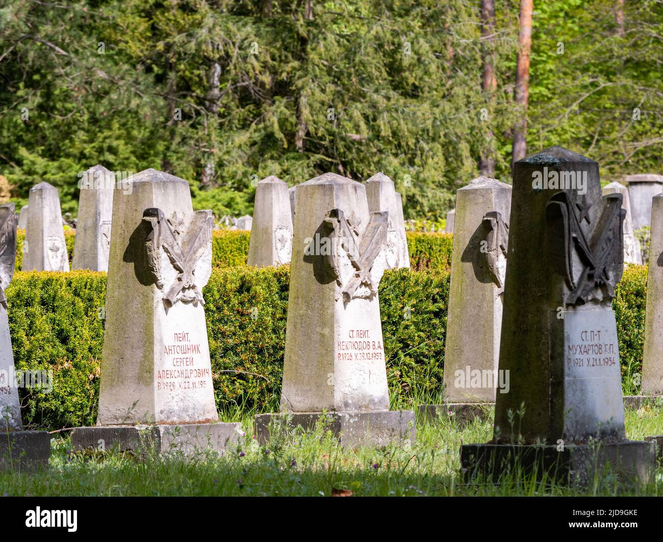 Russian military graveyard with lots of tombstones from the Second World War. Thousands of graves with killed soldiers as a memorial in a natural area Stock Photo