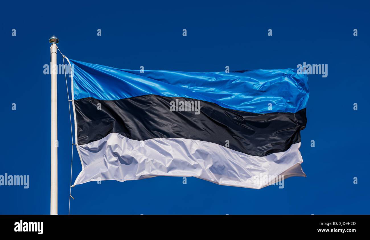 Flag of Estonia Stock Photo