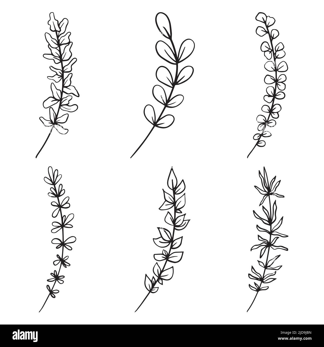 Set of Hand drawn doodle vector leaves and branches. Collection of tree ...
