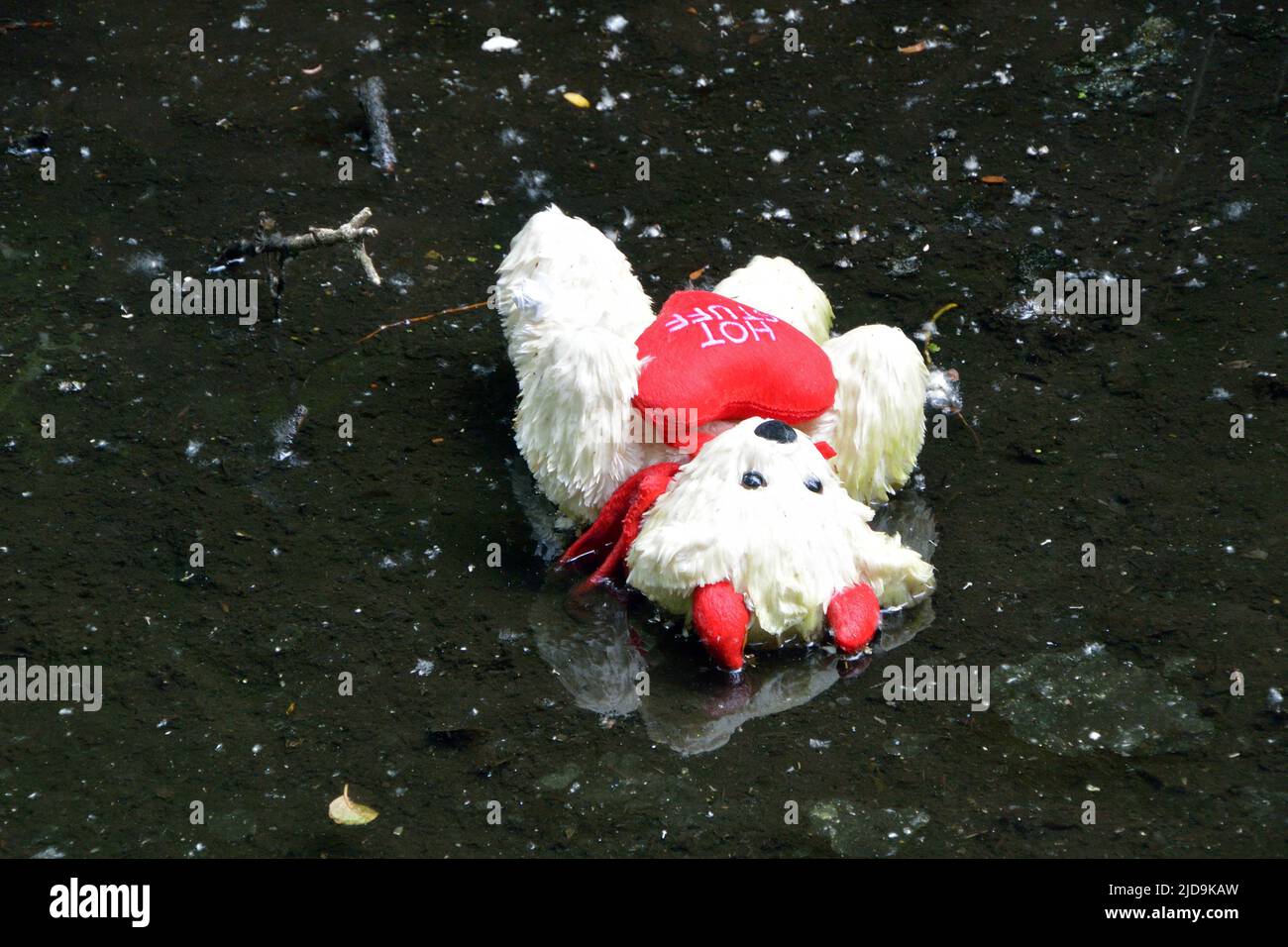 Hot Stuff devil teddy bear lying abandoned in shallows at the edge of the river Wensum in Norwich, Norfolk, UK Stock Photo