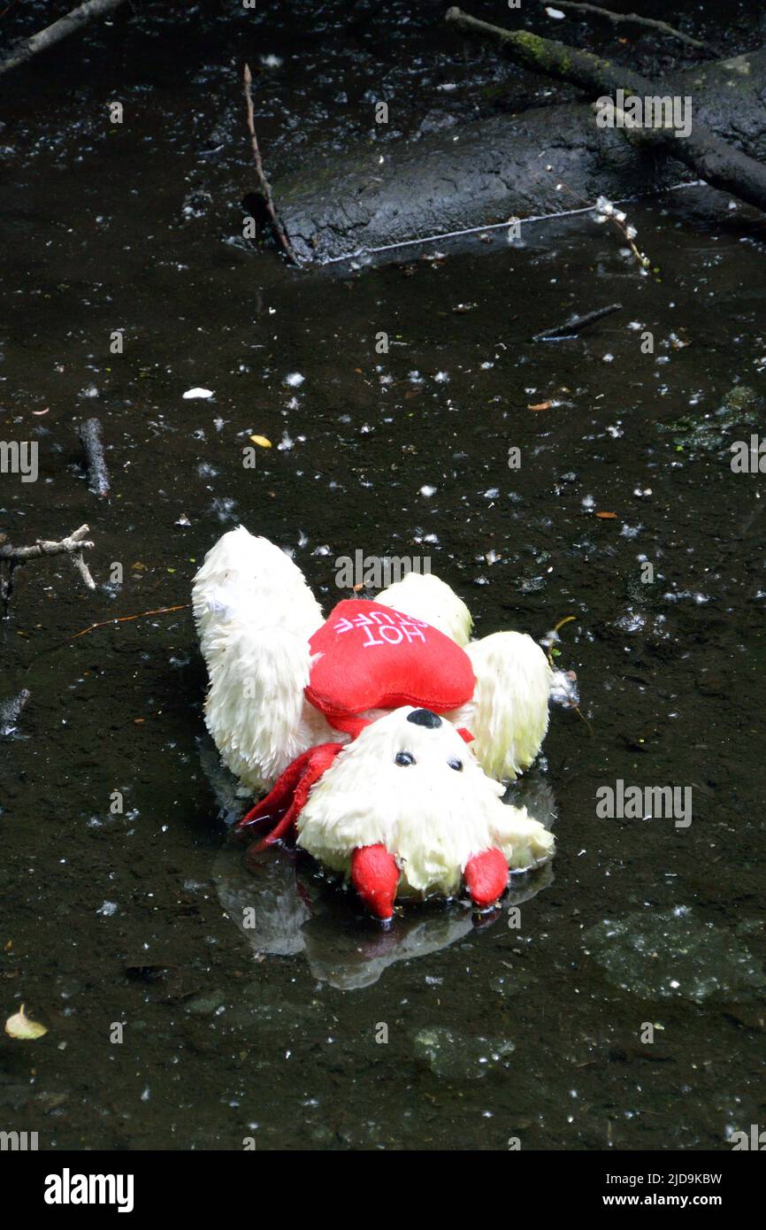 Hot Stuff devil teddy bear lying abandoned in shallows at the edge of the river Wensum in Norwich, Norfolk, UK Stock Photo