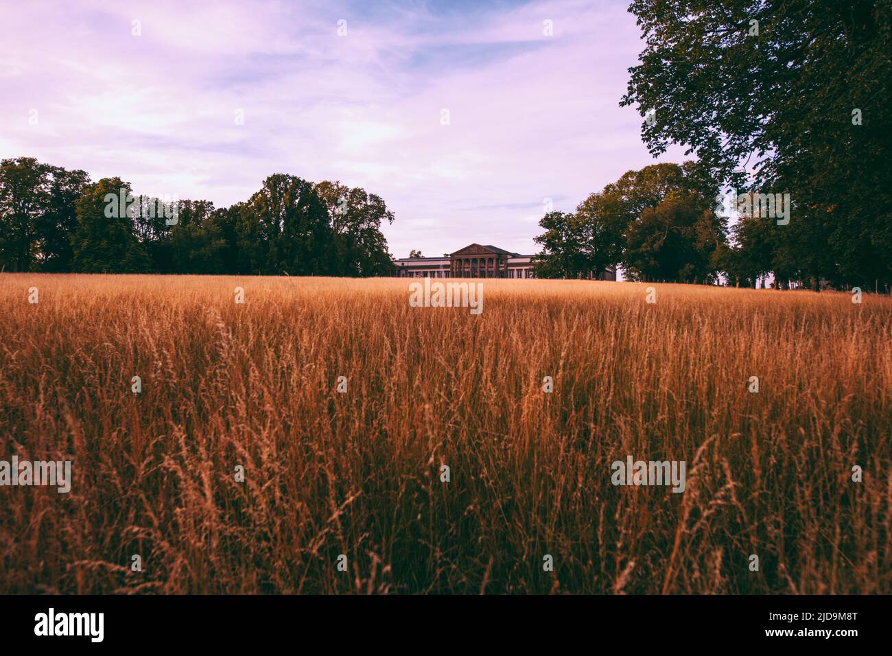 Summertime at Rosestein Park in the city of Stuttgart-Germany Stock ...