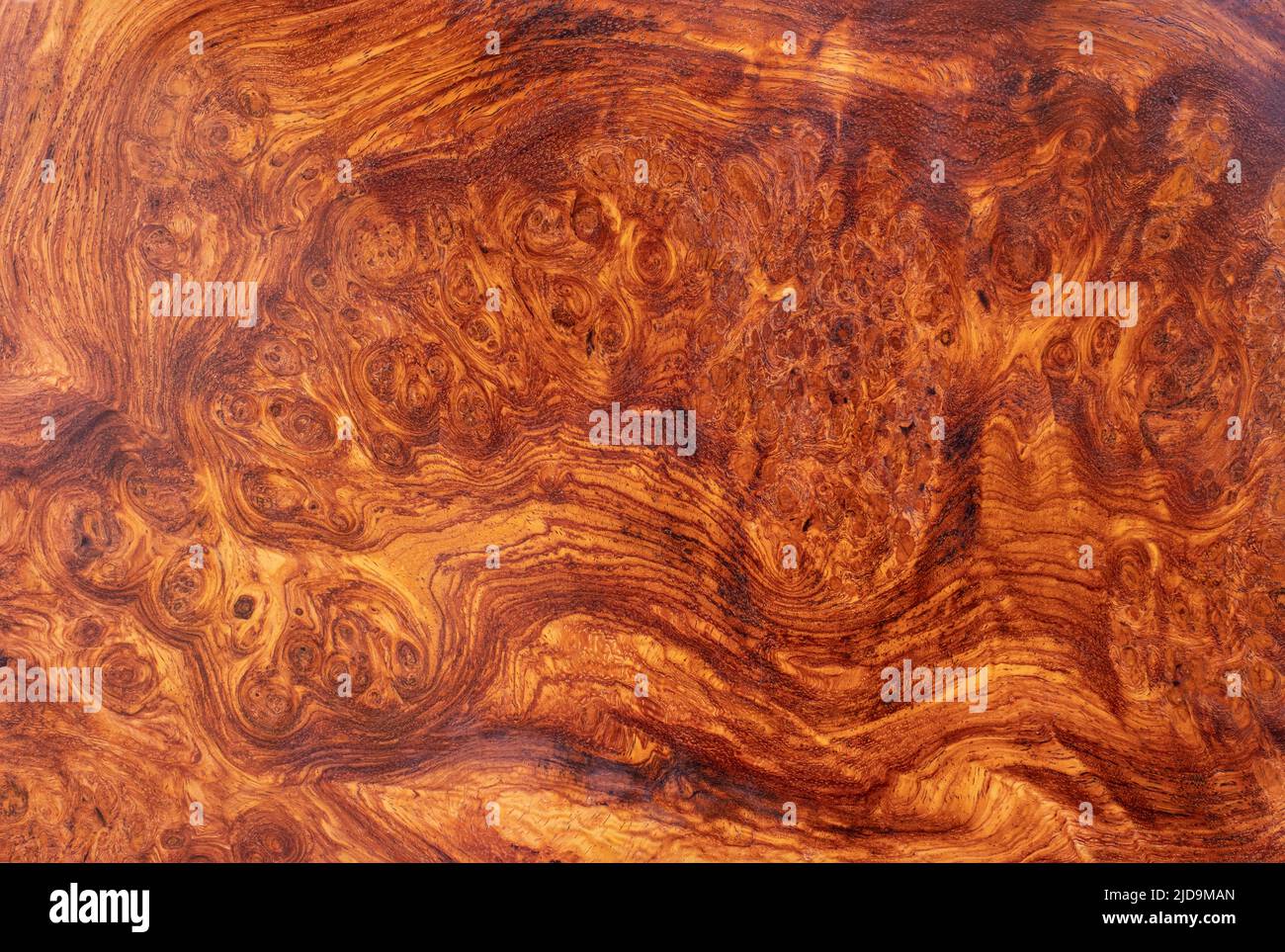 Natural Afzelia burl wood striped is a wooden beautiful pattern for ...