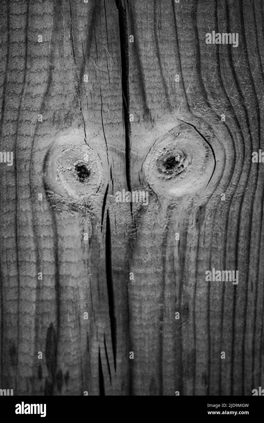 A wood pattern looks like eyes on an old wood plank, good for texture, abstract, or background - stock photography Stock Photo