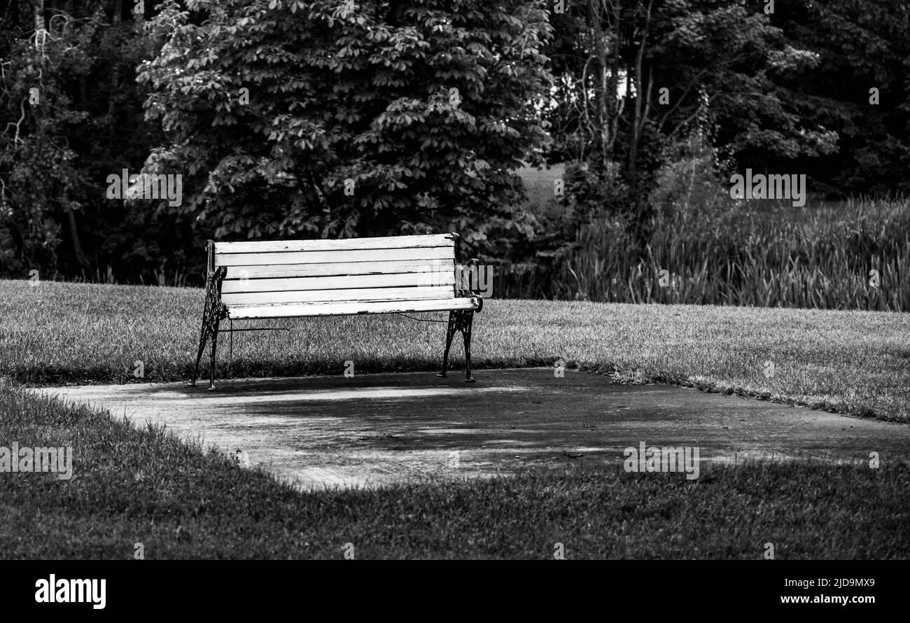 A minimalist photo of a lone bench in a park, giving a feeling of being abandoned and solitude - stock photography Stock Photo