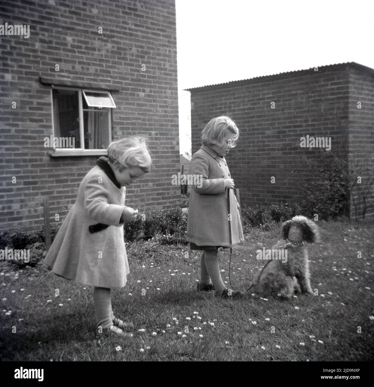 1950s, historical, outside a house, two young girls, sisters, in coats, outside with their pet poddle, which has onto it a dual dog lead, which both girls are holding onto, England, UK Stock Photo