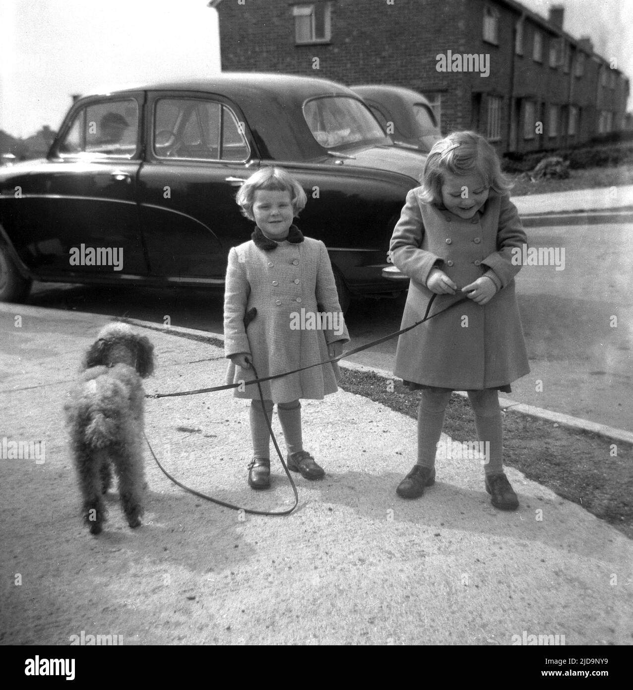 1950s, historical, outside at a housing estate beside a car of the era, two young girls, sisters, in coats, outside with their pet poddle, which has onto it a dual dog lead, which both girls are holding onto, England, UK. Stock Photo