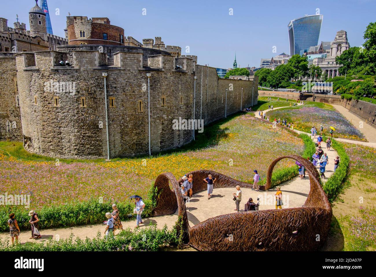Superbloom at the Tower of London; a landscape of wildflowers sown from over 20 million seeds to celebrate the Queen's platinum jubilee. Stock Photo