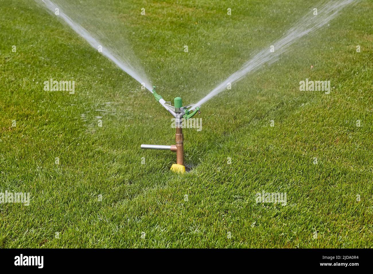 Garden sprinkler watering Stock Photo