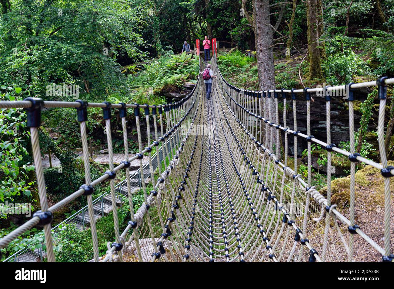 Rope bridge at Kells Bay Gardens, County Kerry, Ireland Stock Photo