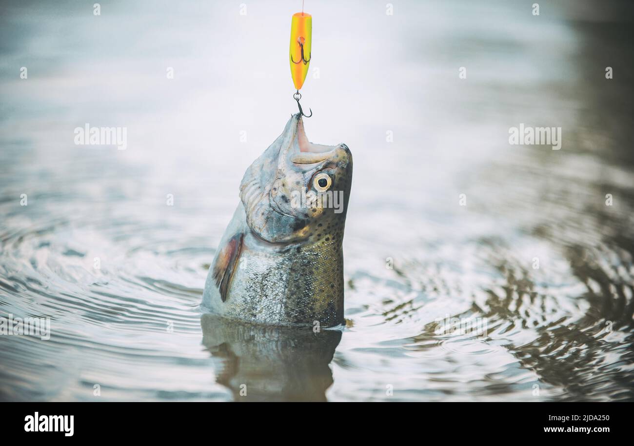 Fishing rod reel float hi-res stock photography and images - Page 11 - Alamy