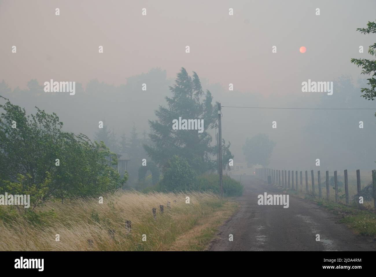 19 June 2022, Brandenburg, Beelitz-Heilstätten: Thick smoke from a ...