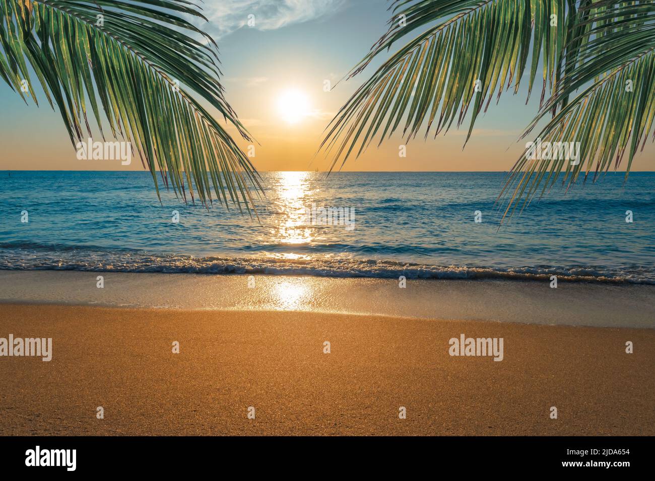 Sunset on tropical palm tree beach. Stock Photo
