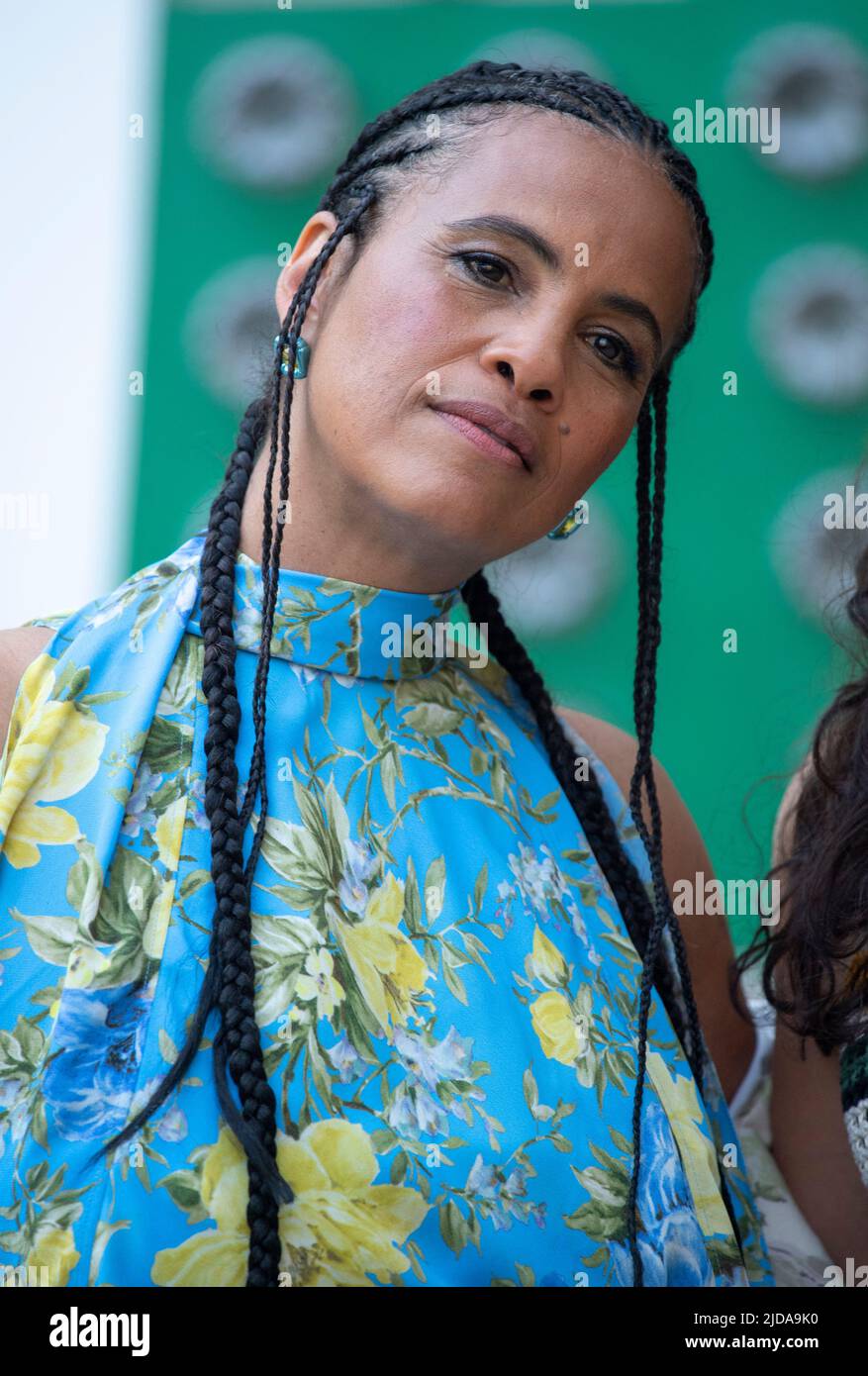 Neneh Cherry attends The Royal Academy of Arts summer preview party at
