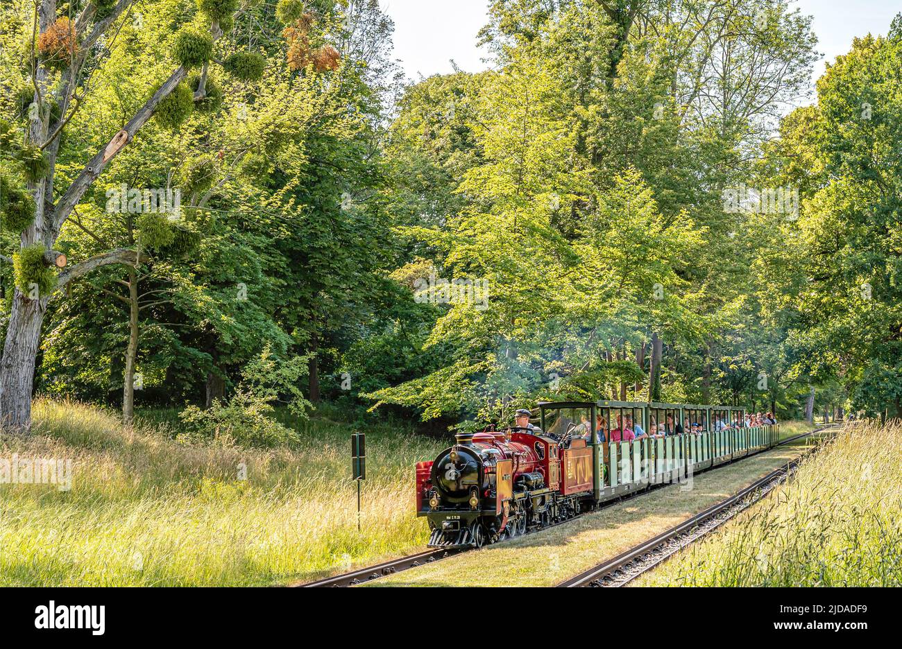 Miniature steam train at the Grossen Garten, known as the Parkeisenbahn Dresden, Saxony, Germany Stock Photo