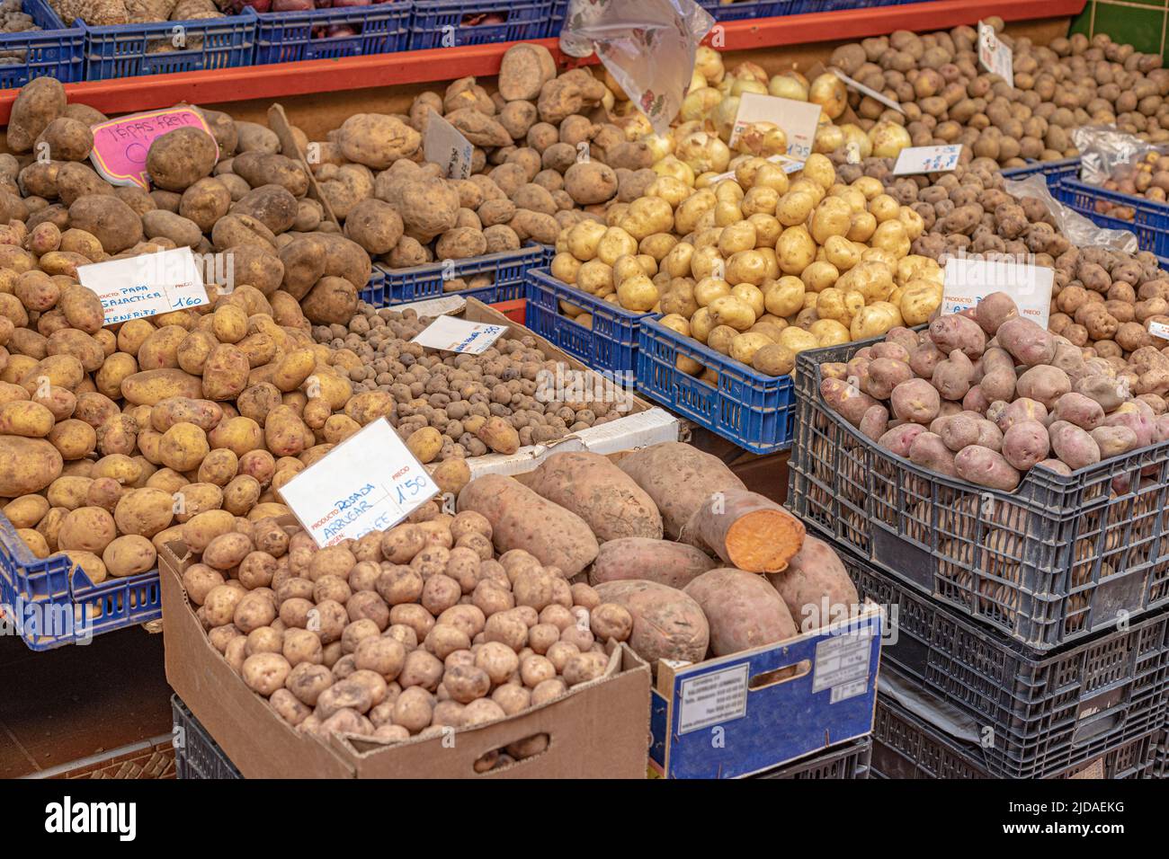 Different kinds of potatoes in a greengrocer with signs in spanish. Stock Photo