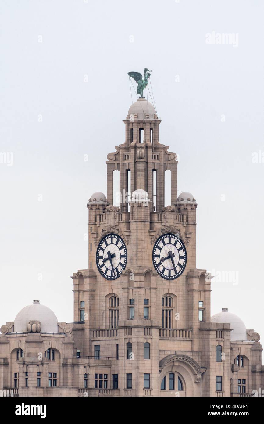 Zoomed in view of the tower on the Royal Liver Building, Liverpool with the clock and the Liver Bird looking out over the River Mersey. England, UK Stock Photo