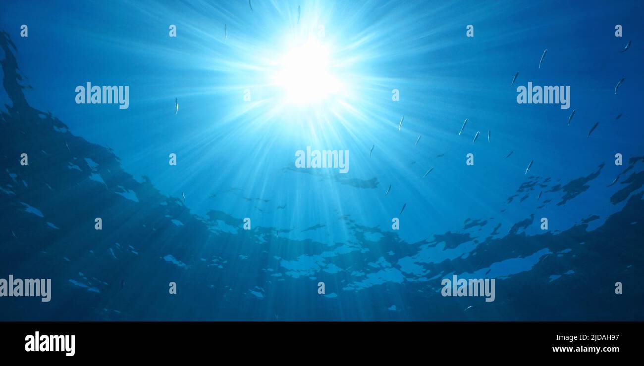 Bright sunlight with sunbeams under water surface in the sea with some small fish, natural scene, Mediterranean Stock Photo