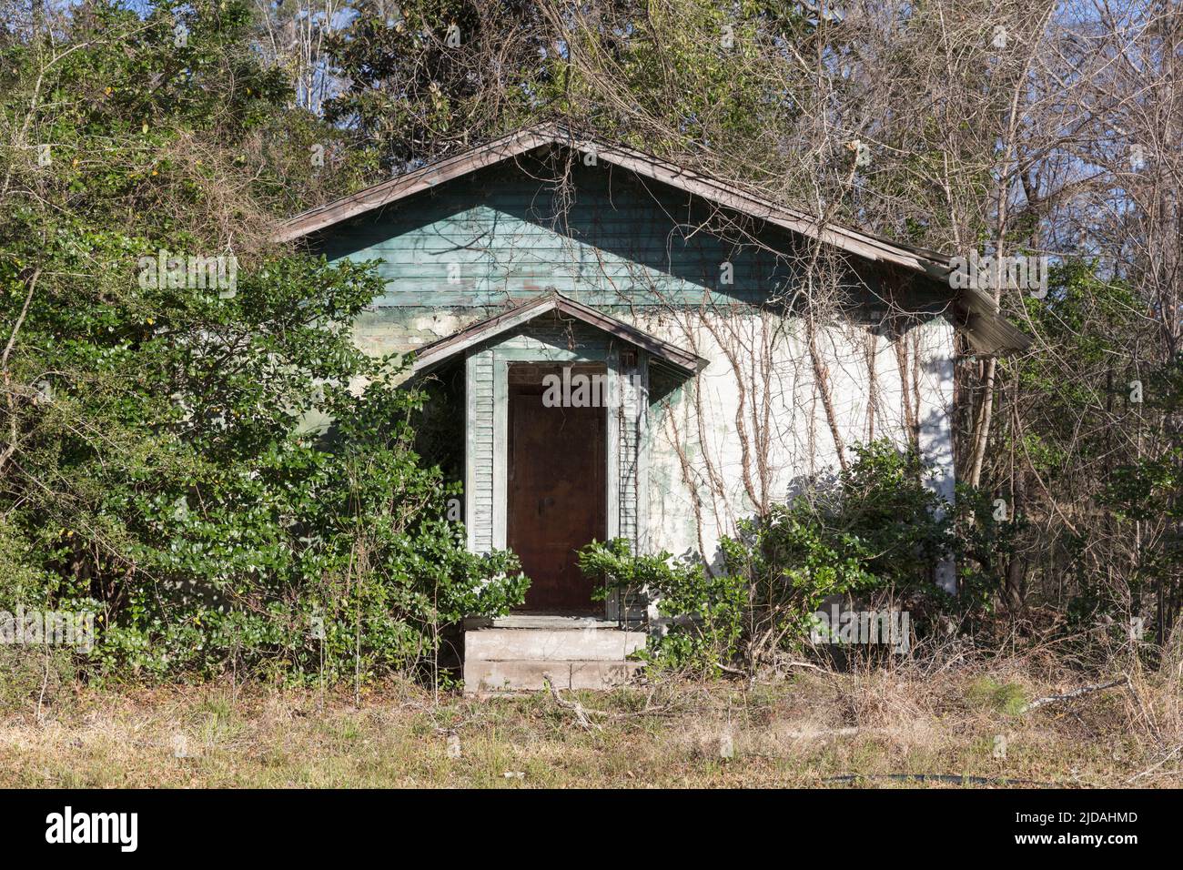 A rural homestead or small house abandoned and crumbling, overgrown with plants and shrubs. Stock Photo