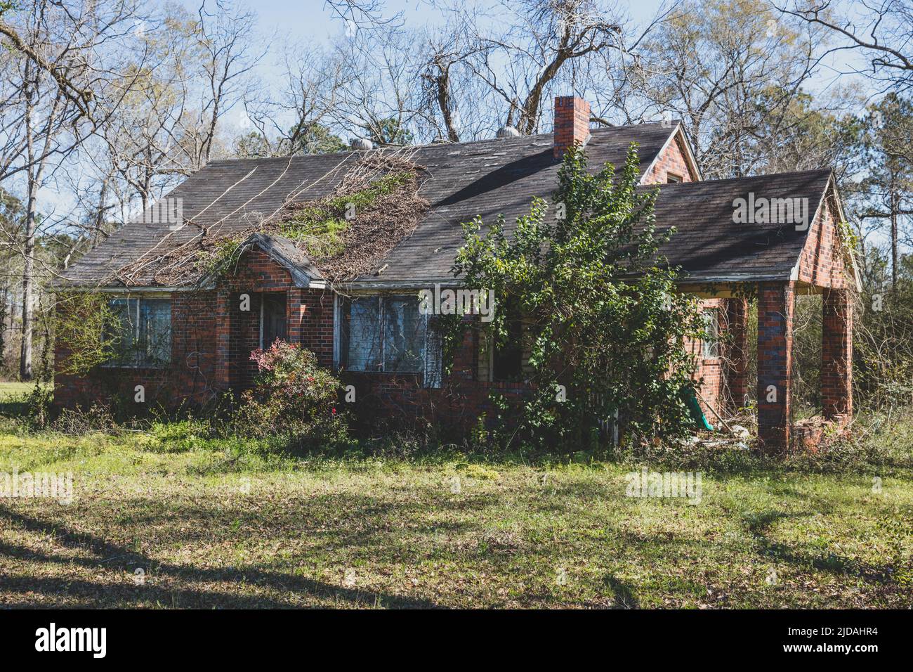 A rural homestead or small house abandoned and crumbling, overgrown with plants and shrubs. Stock Photo